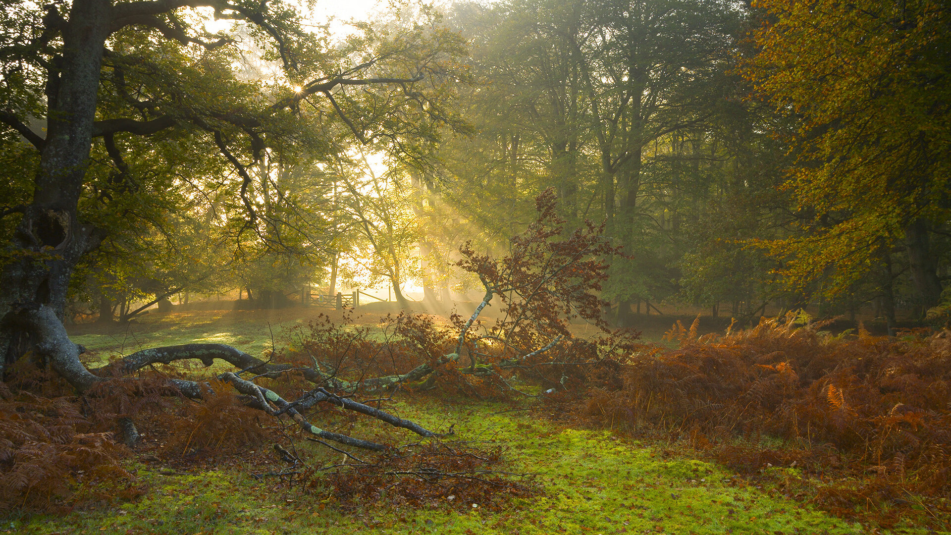 “奔跑吧未来”青少年青训计划在四川全面铺开，四川体育奔跑吧少年
