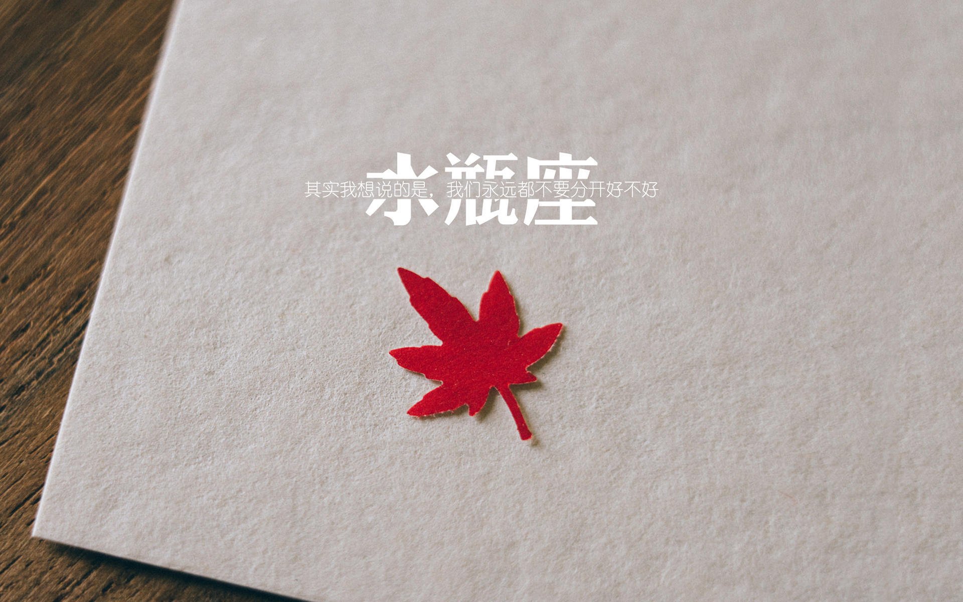 中国女篮备战国际赛事,训练强度提升,中国队女篮