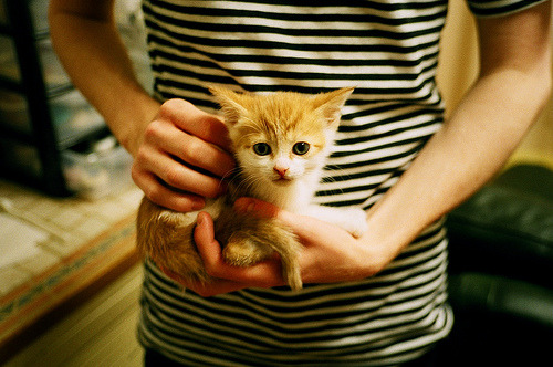 开云·体育官网APP下载-C罗获得沙特联赛最佳球员奖，状态不减，c罗出名的比赛