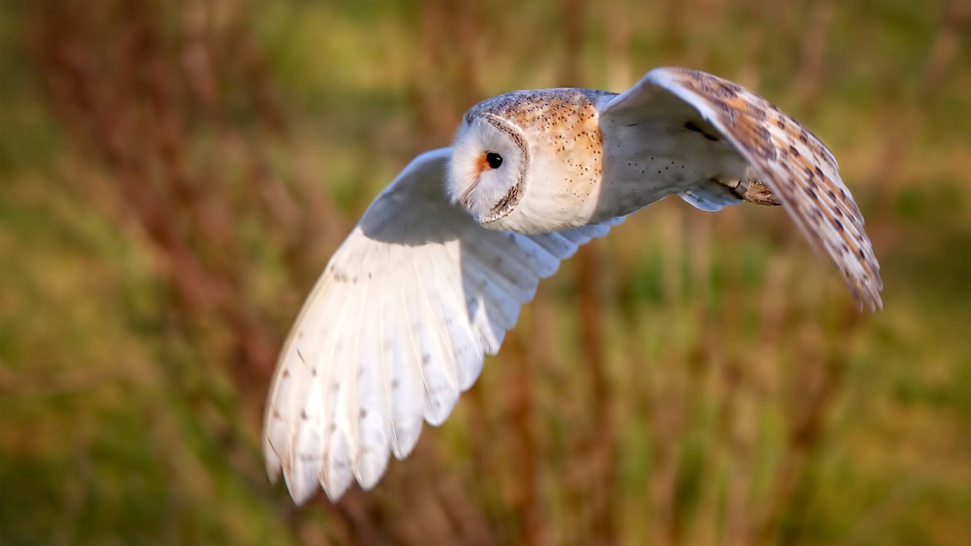 开云体育俱乐部官网-AI驱动战术分析：让比赛更激烈、观赏性更高的未来发展方向，ai的三大驱动