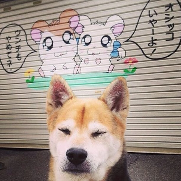 开云网页版登录入口-“青训导师交流会成功举办，推动全国青训水平提升”，青年训练队