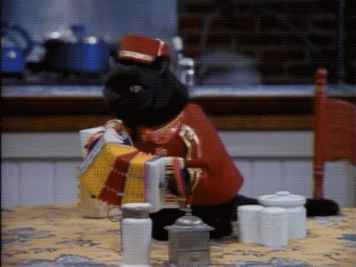 开云娱乐-塞内加尔马术队在非洲马术锦标会三项赛中获得第五名，表现稳健。