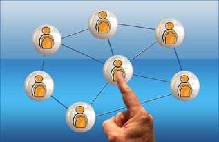 开云娱乐官网-英超球员社交媒体互动提升粉丝忠诚度研究，英超球队球迷